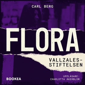Vallzales-stiftelsen (ljudbok) av Carl Berg