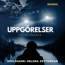 Uppgörelser (ljudbok) av Lotta Frantz