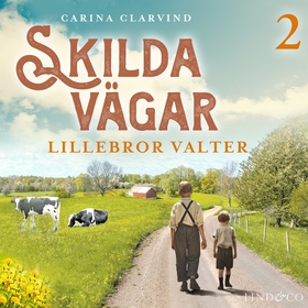 Lillebror Valter (ljudbok) av Carina Clarvind