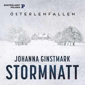 Stormnatt (ljudbok) av Johanna Ginstmark