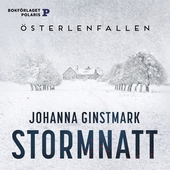 Stormnatt