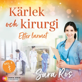 Efter larmet (ljudbok) av Sara Ros