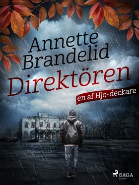 Direktören (e-bok) av Annette Brandelid
