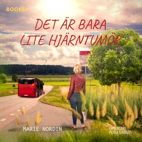 Det är bara lite hjärntumör (ljudbok) av Marie 