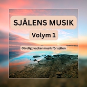 SJÄLENS MUSIK - Otroligt vacker musik för själen - Volym 1