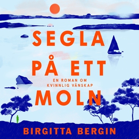 Segla på ett moln (ljudbok) av Birgitta Bergin