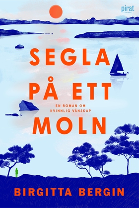 Segla på ett moln (e-bok) av Birgitta Bergin