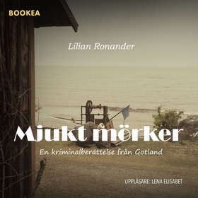 Mjukt mörker (ljudbok) av Lilian Ronander