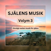 SJÄLENS MUSIK - Otroligt vacker musik för själen - Volym 3