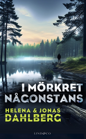 I mörkret någonstans (e-bok) av Helena Dahlberg