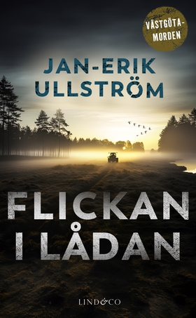 Flickan i lådan (e-bok) av Jan-Erik Ullström