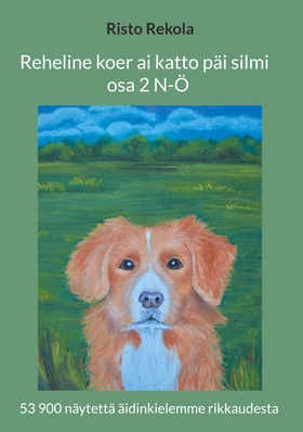 Reheline koer ai katto päi silmi (osa 2): 53 90