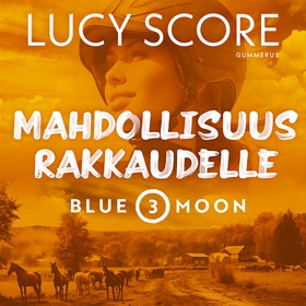 Mahdollisuus rakkaudelle (ljudbok) av Lucy Scor