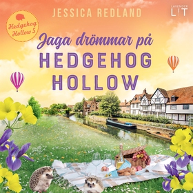 Jaga drömmar på Hedgehog Hollow (ljudbok) av Je