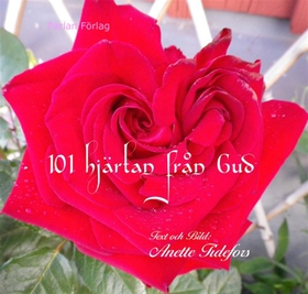 101 hjärtan från Gud (e-bok) av Anette Tidefors