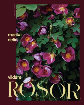 Vildare rosor (e-bok) av Marika Delin