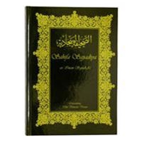 Sahifa Sajjadiya (e-bok) av Imam Sajjad