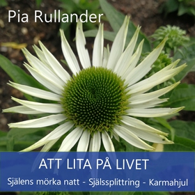 Att lita på Livet. Själens mörka natt, Själsspl