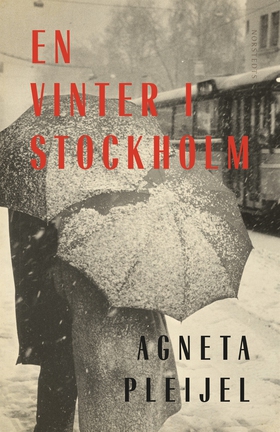 En vinter i Stockholm (e-bok) av Agneta Pleijel