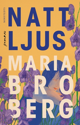 Nattljus (e-bok) av Maria Broberg