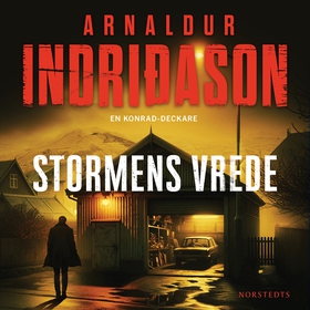 Stormens vrede (ljudbok) av Arnaldur Indridason