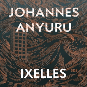 Ixelles (ljudbok) av Johannes Anyuru