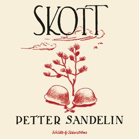 Skott (ljudbok) av Petter Sandelin