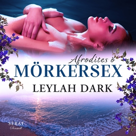 Mörkersex (ljudbok) av Leylah Dark