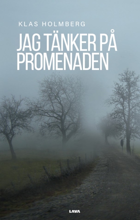 Jag tänker på promenaden (e-bok) av Klas Holmbe