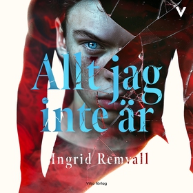 Allt jag inte är (ljudbok) av Ingrid Remvall