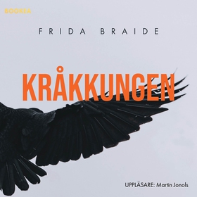 Kra°kkungen (ljudbok) av Frida Braide