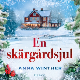 En skärgårdsjul (ljudbok) av Anna Winther