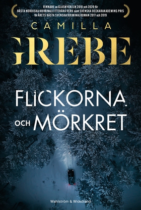 Flickorna och Mörkret (e-bok) av Camilla Grebe