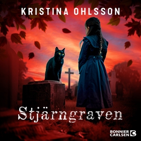 Stjärngraven (ljudbok) av Kristina Ohlsson