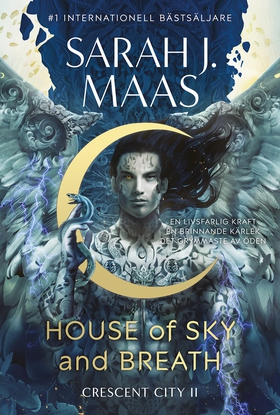 House of Sky and Breath (Svensk utgåva) (e-bok)