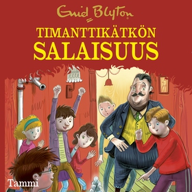 Timanttikätkön salaisuus (ljudbok) av Enid Blyt