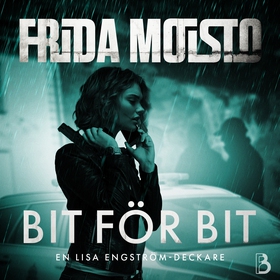 Bit för bit (ljudbok) av Frida Moisto