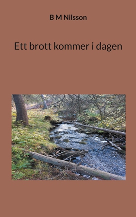 Ett brott kommer i dagen (e-bok) av Monica Nils