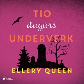 Tio dagars underverk (ljudbok) av Ellery Queen