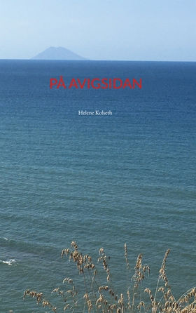 På avigsidan (e-bok) av Helene Kolseth