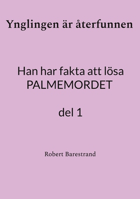 Ynglingen är återfunnen: Han har fakta att lösa