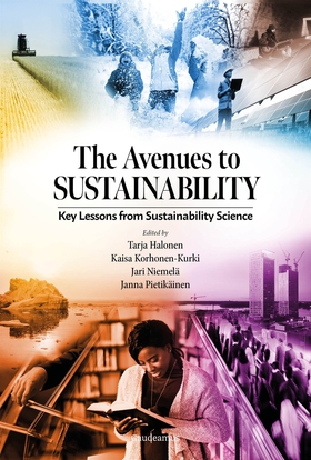 The Avenues to Sustainability (e-bok) av 