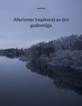 Aforismer inspirerat av det gudomliga (e-bok) a