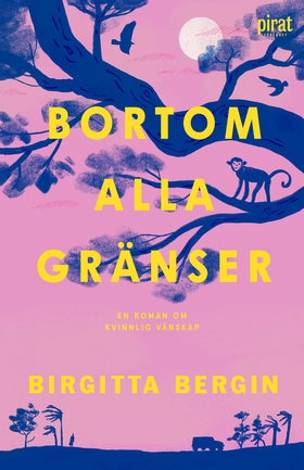 Bortom alla gränser (e-bok) av Birgitta Bergin