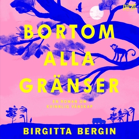 Bortom alla gränser (ljudbok) av Birgitta Bergi