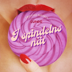 I spindelns nät - erotisk novell (ljudbok) av C