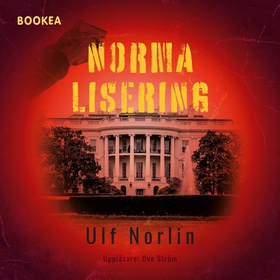 Normalisering (ljudbok) av Ulf Norlin