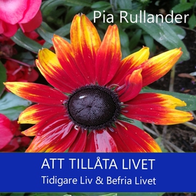 Att tillåta livet - leva. Tidigare Liv & Befria