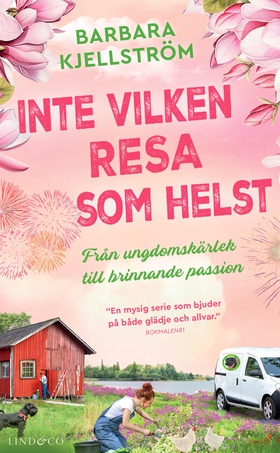 Inte vilken resa som helst : Från ungdomskärlek