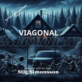 Viagonal (ljudbok) av Stig Simonsson